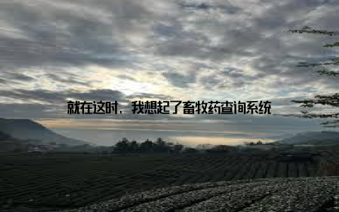 就在这时, 我想起了畜牧药查询系统