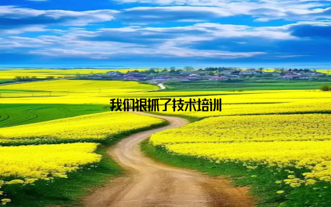 我们狠抓了技术培训