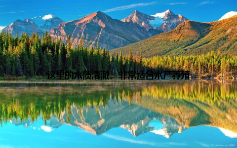 这里的水质清澈, 非常适合水产养殖