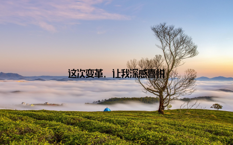 这次变革, 让我深感喜悦