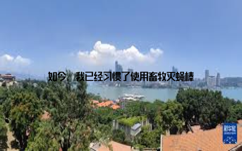 如今, 我已经习惯了使用畜牧灭蝇棒
