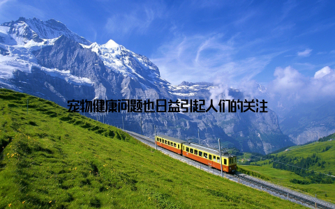 宠物健康问题也日益引起人们的关注