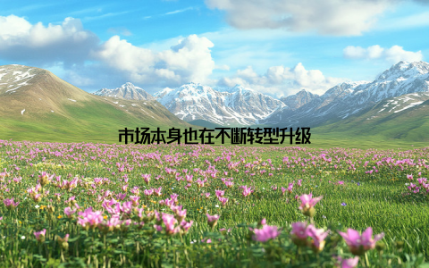 市场本身也在不断转型升级