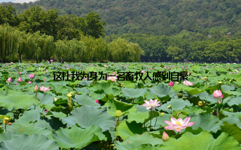 这让我为身为一名畜牧人感到自豪