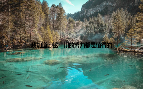 我知道, 这一切的努力都是值得的