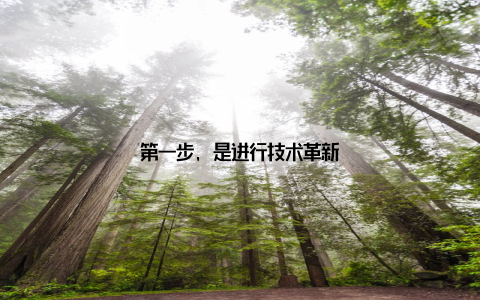第一步, 是进行技术革新