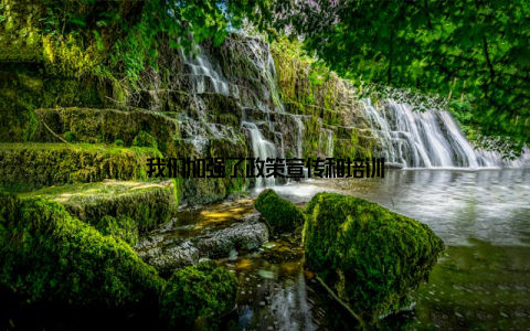 我们加强了政策宣传和培训