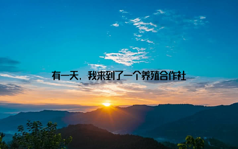 有一天, 我来到了一个养殖合作社