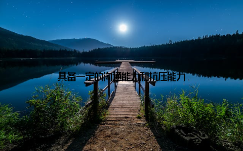 具备一定的沟通能力和抗压能力