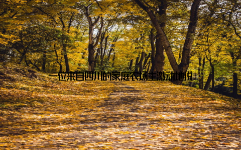 一位来自四川的家庭农场主激动地说