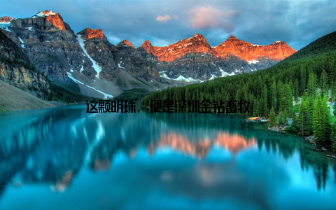 这颗明珠, 便是深圳金钻畜牧