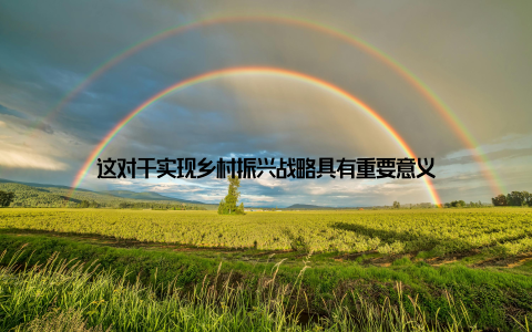 这对于实现乡村振兴战略具有重要意义