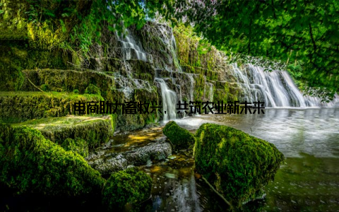 电商助力畜牧兴, 共筑农业新未来