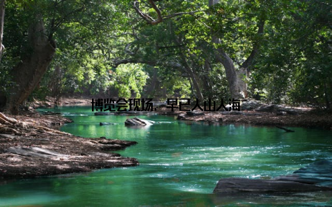 博览会现场, 早已人山人海