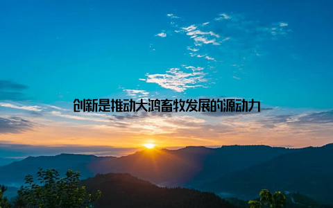 创新是推动大鸿畜牧发展的源动力