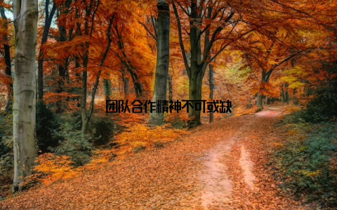 团队合作精神不可或缺