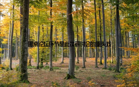 圆桌论坛环节是此次研讨会的重头戏