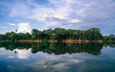 回首过去, 我感慨万分