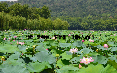 让我们来看看, 它是如何温暖人心的