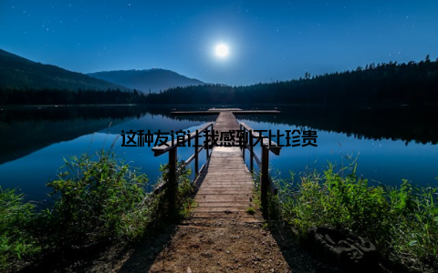 这种友谊让我感到无比珍贵