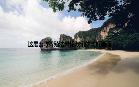 这是畜牧养殖法带给我们的美好画面