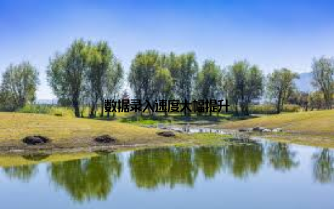 数据录入速度大幅提升